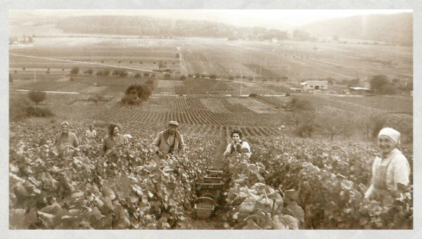 Photos de famille Champagne Didier Gadroy & Fils